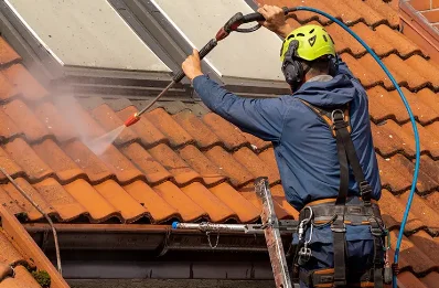 Démoussage et hydrofuge de toiture à Joué-du-Bois